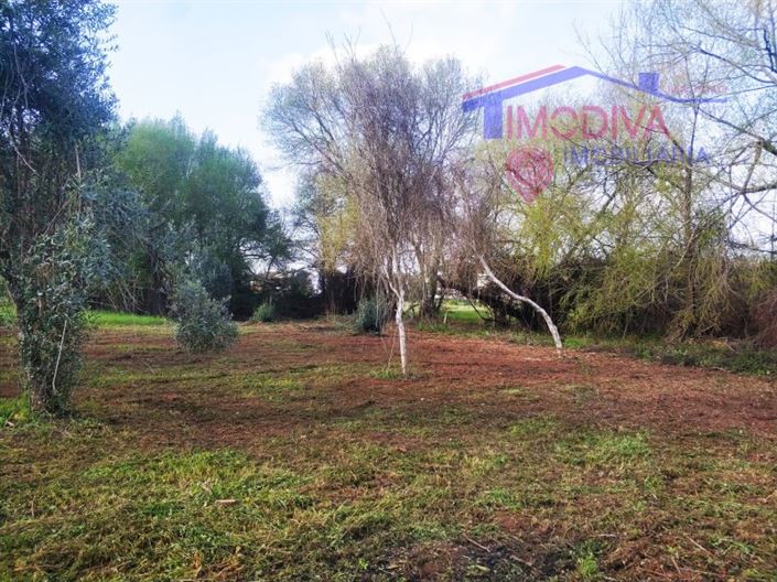 Image No.9-1 Bed House for sale