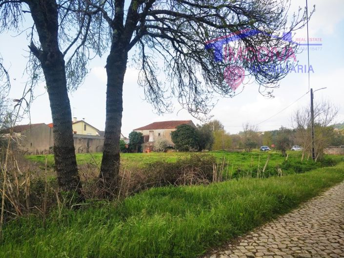 Image No.8-1 Bed House for sale