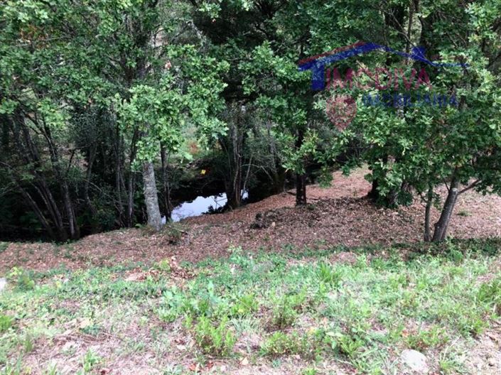 Image No.2-Terrain à vendre à Pedrógão Grande