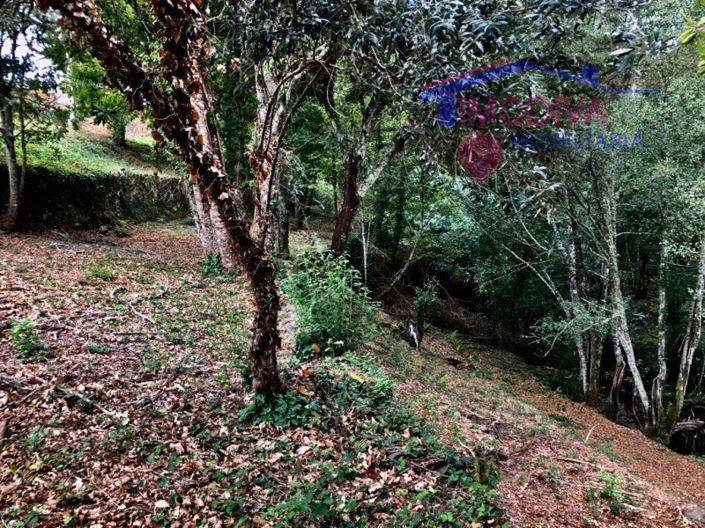 Image No.10-Terrain à vendre à Pedrógão Grande