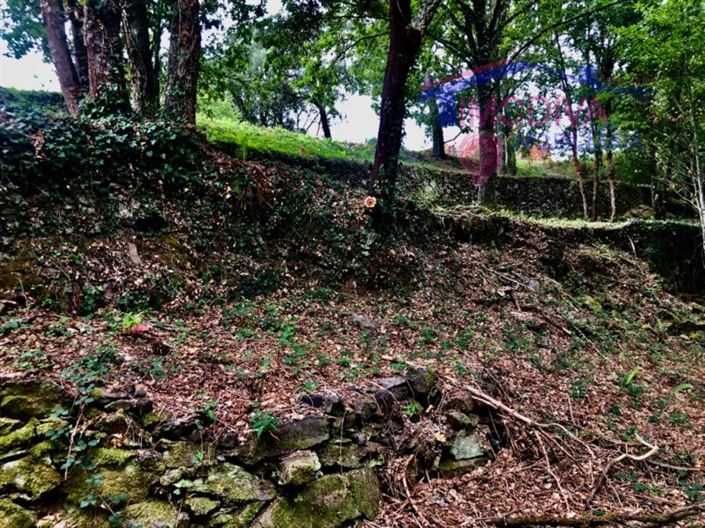 Image No.11-Terrain à vendre à Pedrógão Grande