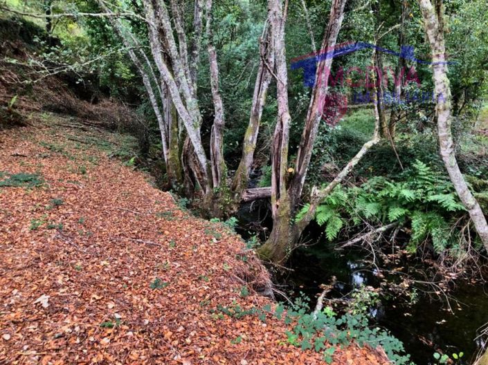 Image No.12-Terrain à vendre à Pedrógão Grande