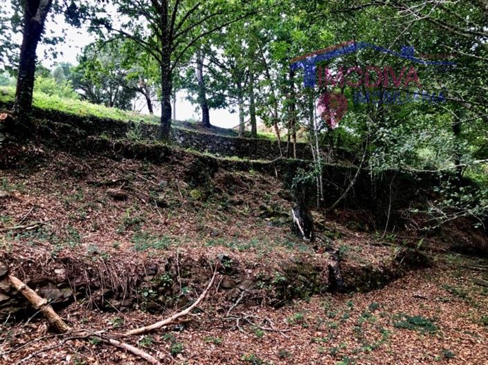 Image No.13-Terrain à vendre à Pedrógão Grande