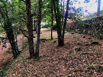 idc2307301-0000-0500-0000-00001219b5dd