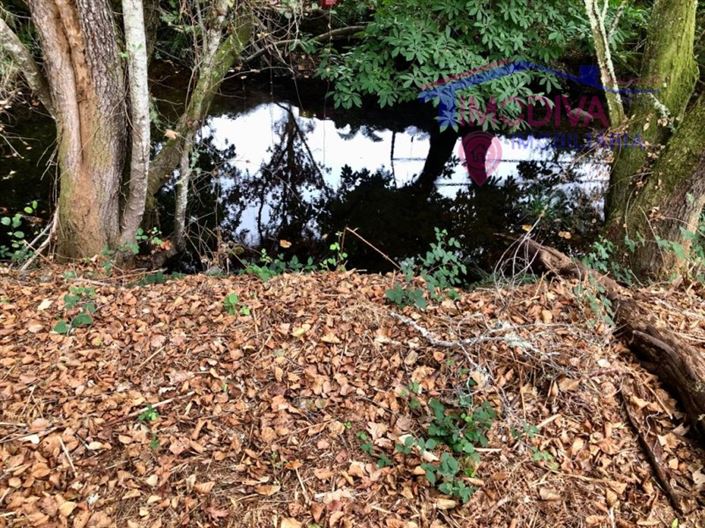 Image No.6-Terrain à vendre à Pedrógão Grande