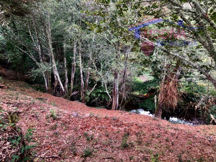 Image No.4-Terrain à vendre à Pedrógão Grande