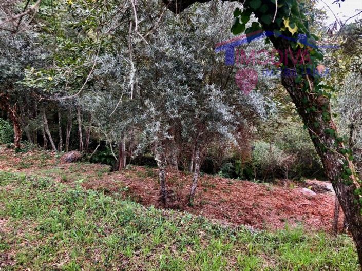 Image No.7-Terrain à vendre à Pedrógão Grande