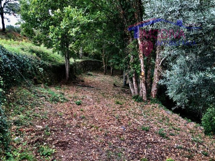 Image No.8-Terrain à vendre à Pedrógão Grande