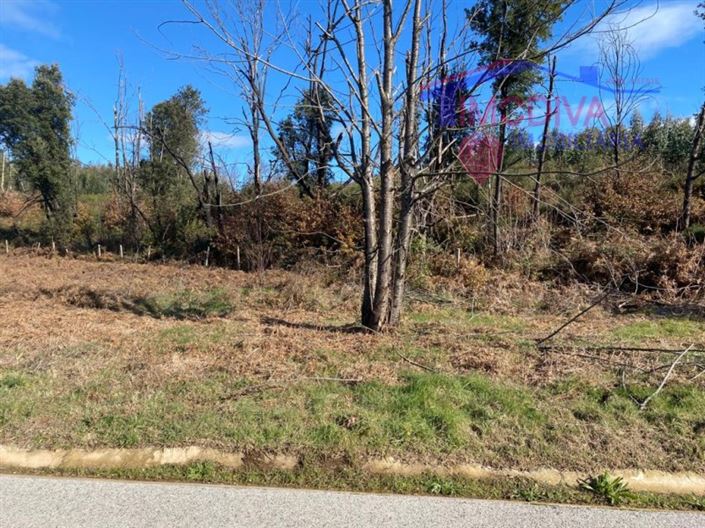 Image No.5-Plot for sale