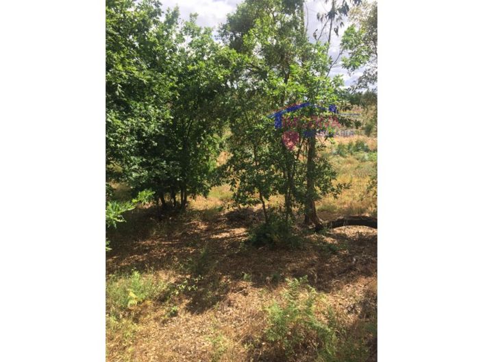 Image No.17-House for sale