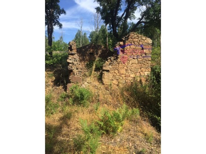 Image No.3-House for sale