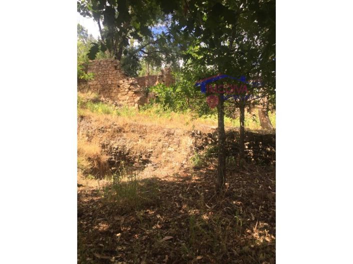 Image No.4-House for sale