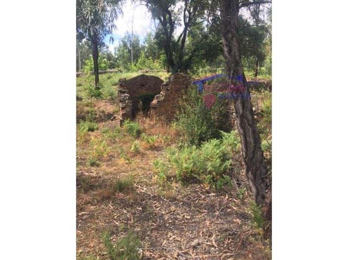 Image No.5-House for sale