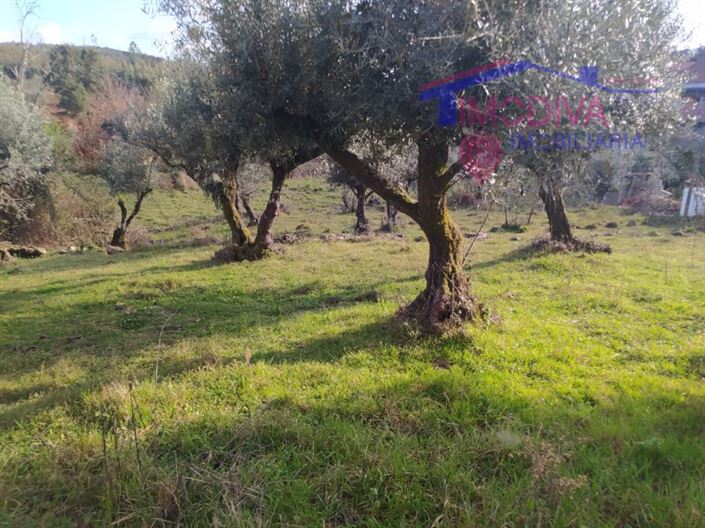 Image No.33-Maison de 3 chambres à vendre à Góis