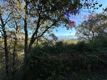 id4e7b7601-0000-0500-0000-000012649d58