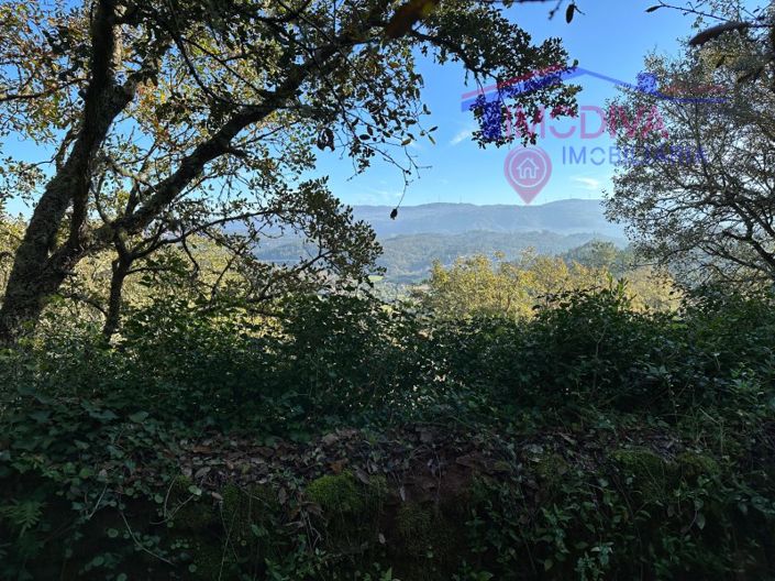 Image No.16-Plot for sale