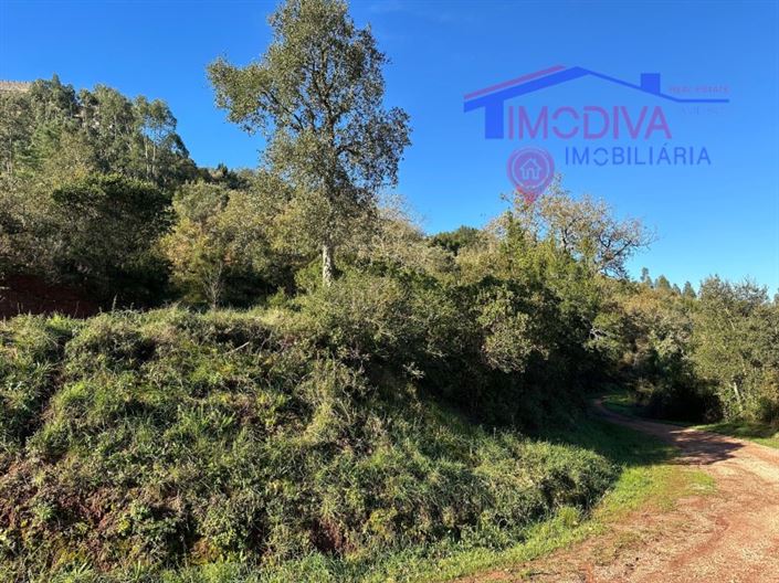 Image No.24-Plot for sale