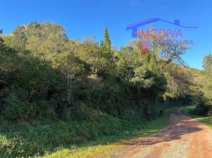 Image No.8-Plot for sale