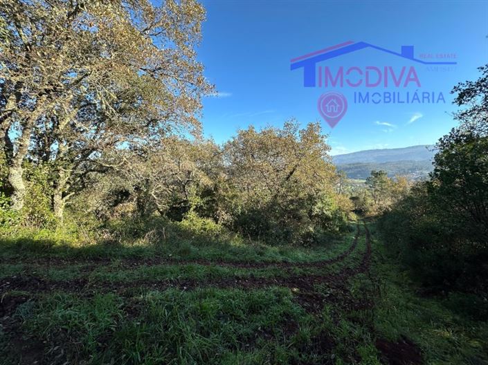 Image No.9-Plot for sale