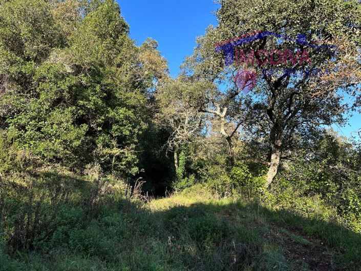 Image No.10-Plot for sale