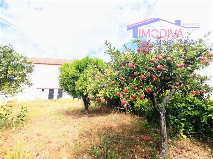 Image No.6-Maison de 3 chambres à vendre à Pedrógão Grande