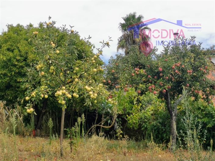 Image No.43-Maison de 3 chambres à vendre à Pedrógão Grande