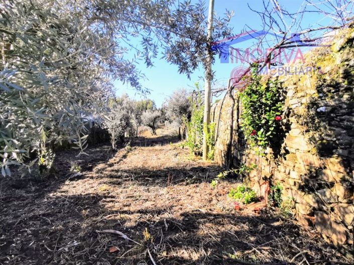 Image No.28-Maison de 3 chambres à vendre à Pedrógão Grande