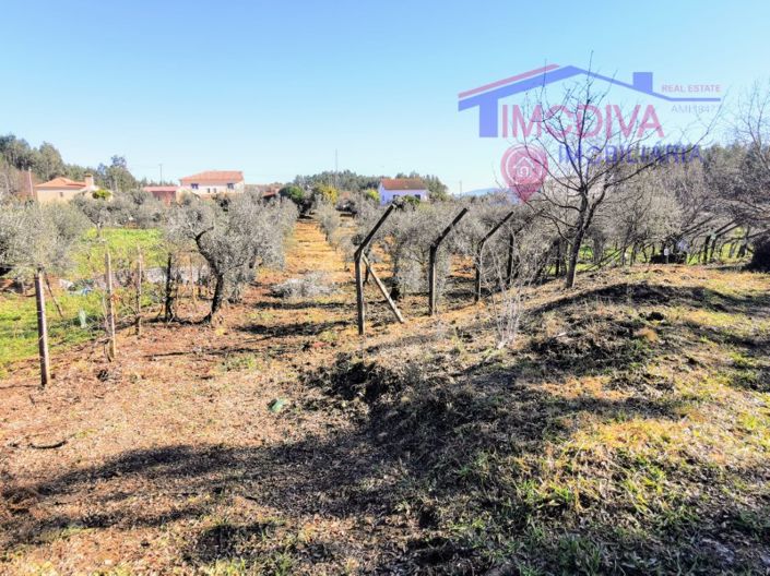 Image No.29-Maison de 3 chambres à vendre à Pedrógão Grande