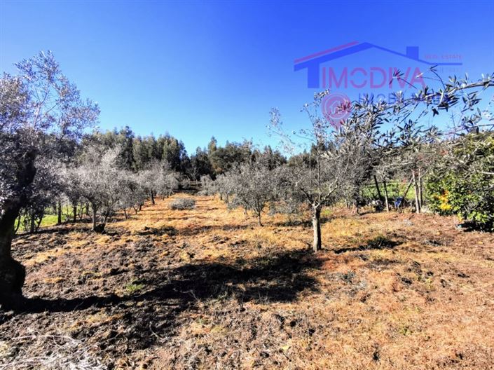 Image No.30-Maison de 3 chambres à vendre à Pedrógão Grande