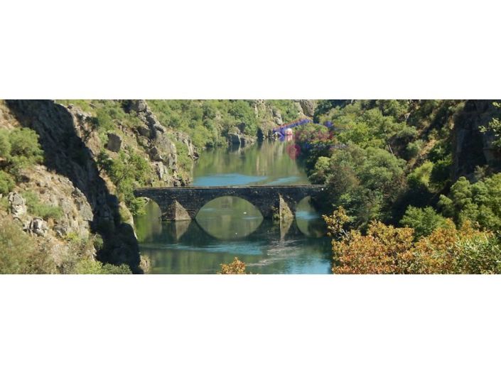 Image No.38-Maison de 5 chambres à vendre à Pedrógão Grande