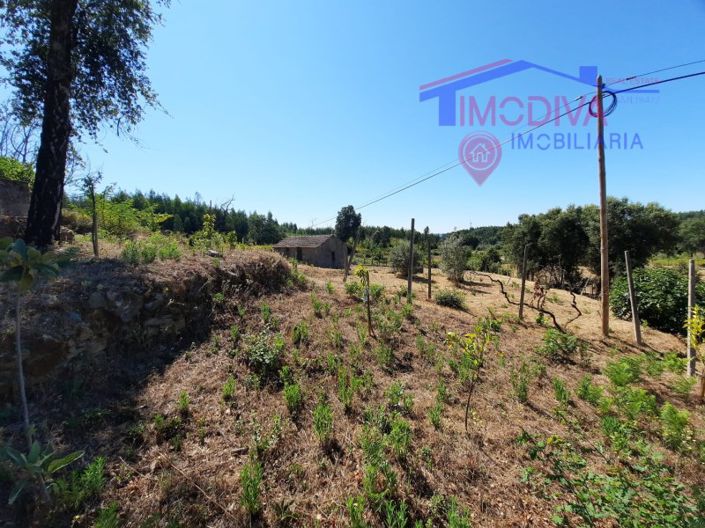 Image No.17-Maison à vendre à Pedrógão Grande