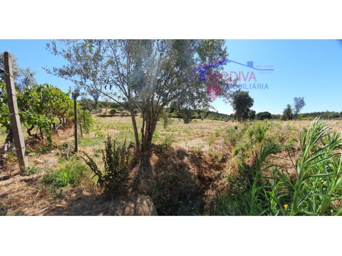 Image No.18-Maison à vendre à Pedrógão Grande