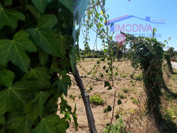 Image No.19-Maison à vendre à Pedrógão Grande