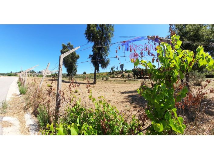 Image No.20-Maison à vendre à Pedrógão Grande