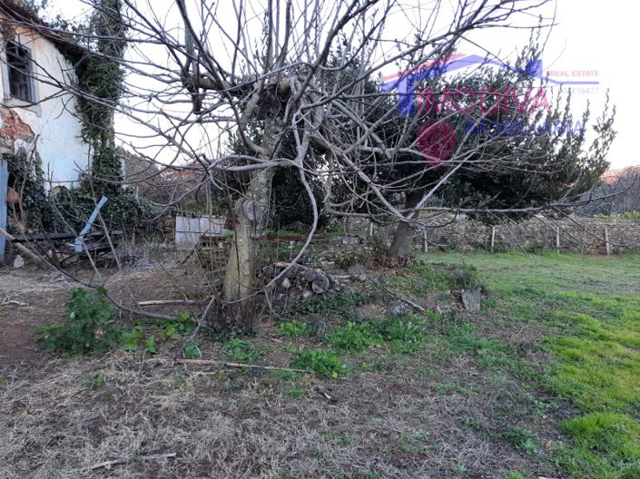 Image No.14-2 Bed Farmhouse for sale