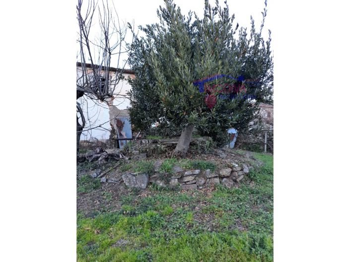 Image No.15-2 Bed Farmhouse for sale