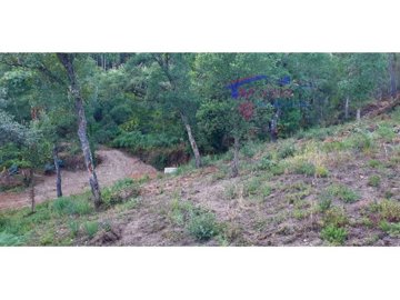 idbd5c5101-0000-0500-0000-000010b493d1