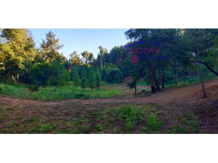 Image No.3-Plot for sale