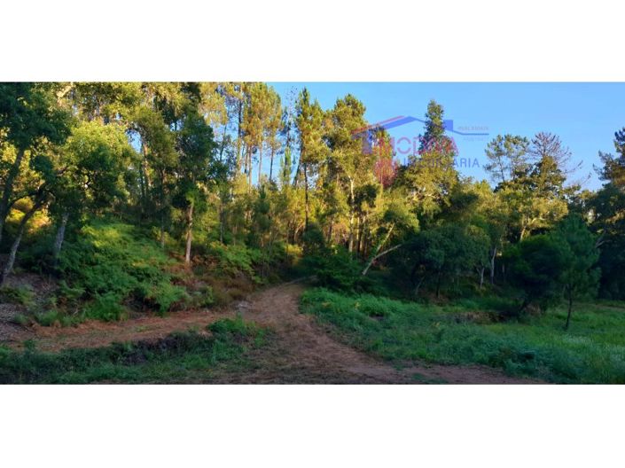 Image No.7-Plot for sale