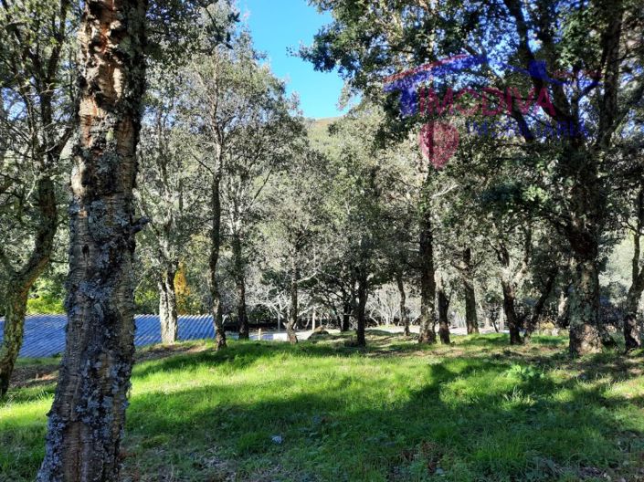 Image No.5-Property for sale