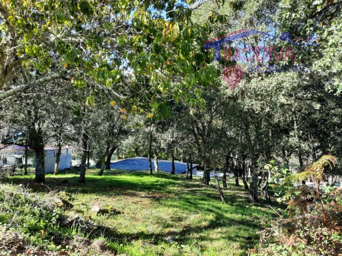 Image No.3-Property for sale