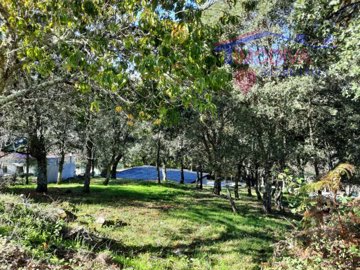 id035d5101-0000-0500-0000-000010b8cd79