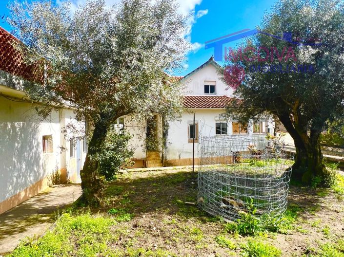Image No.35-Maison de 3 chambres à vendre à Figueiró dos Vinhos