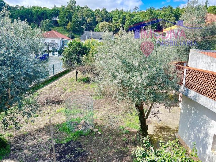 Image No.41-Maison de 3 chambres à vendre à Figueiró dos Vinhos