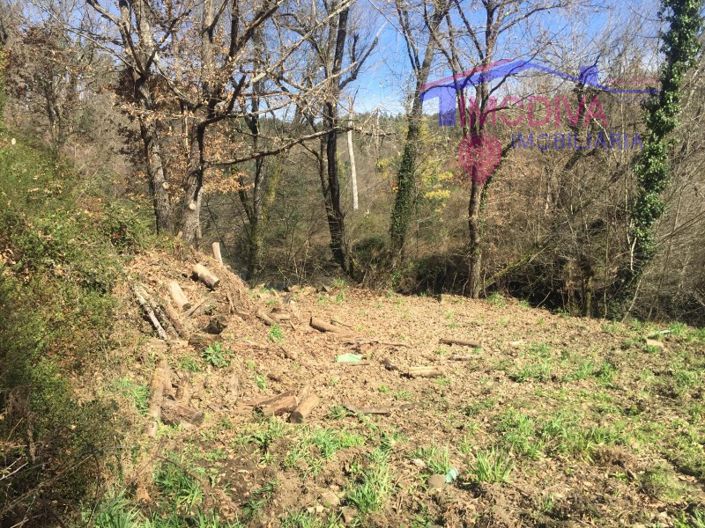 Image No.15-Maison à vendre à Pedrógão Grande