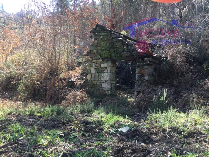 Image No.12-Maison à vendre à Pedrógão Grande