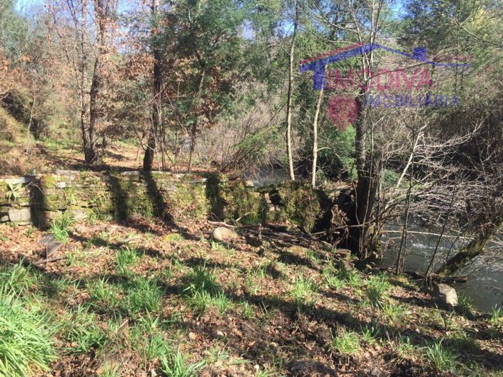 Image No.14-Maison à vendre à Pedrógão Grande