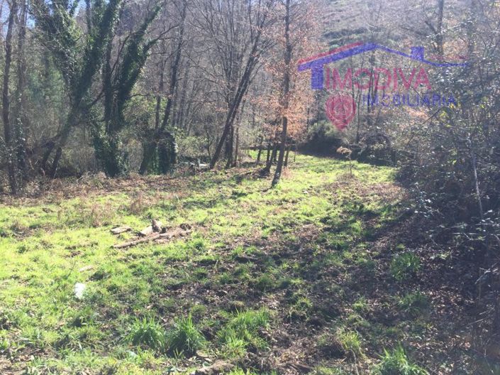 Image No.6-Maison à vendre à Pedrógão Grande