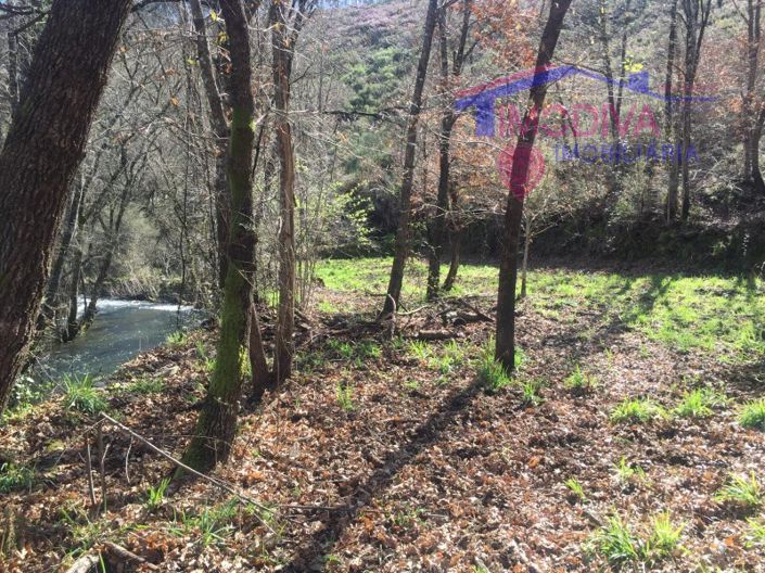 Image No.19-Maison à vendre à Pedrógão Grande