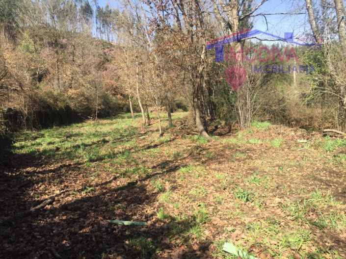 Image No.16-Maison à vendre à Pedrógão Grande